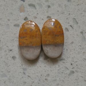 Beautiful Jasper Two Pieces Make A Pair Of Earrings Or Whatever You Want
